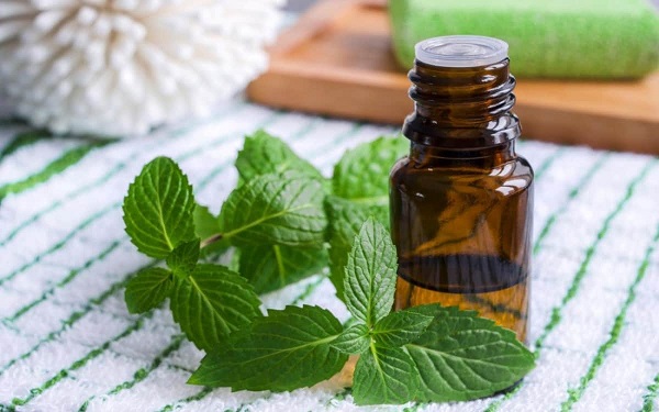 Functionele cosmetica: een nieuwe trend van huidverzorging en technologie -integratie