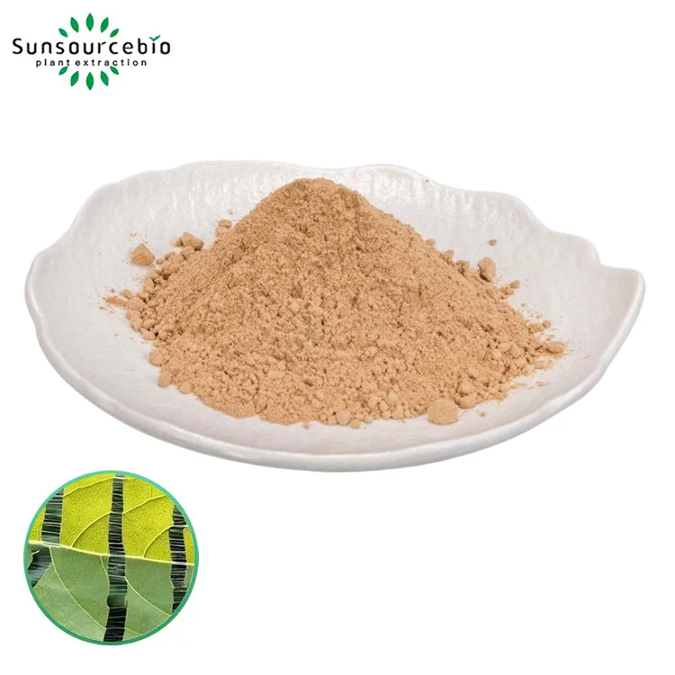 Hoe ondersteunt Eucommia Leaf -extract moderne gezondheid en welzijn?